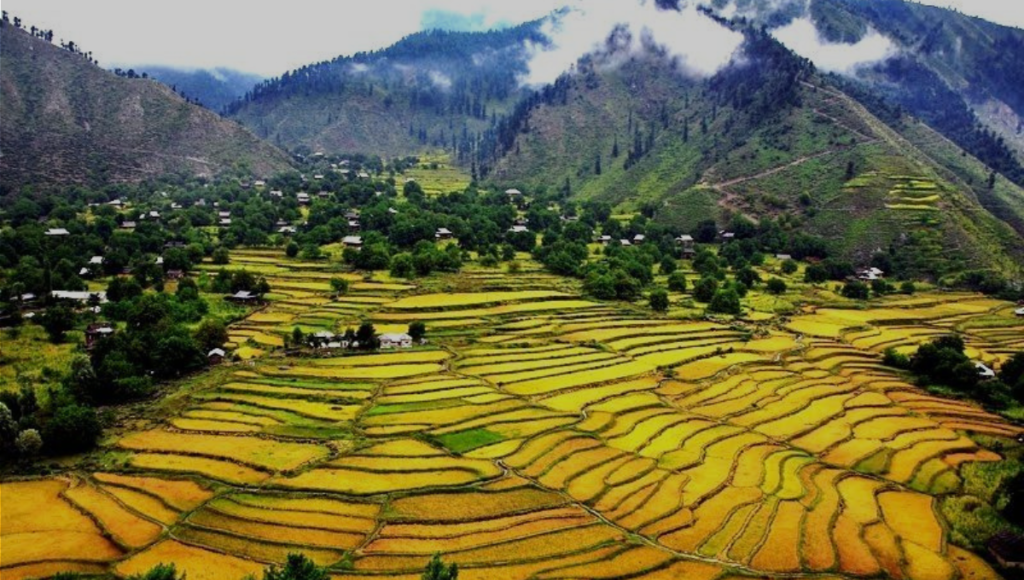 Leepa Valley